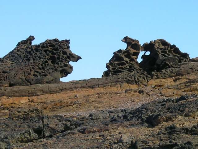 南极的岩石 (4)