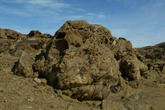 南极的岩石 (2)